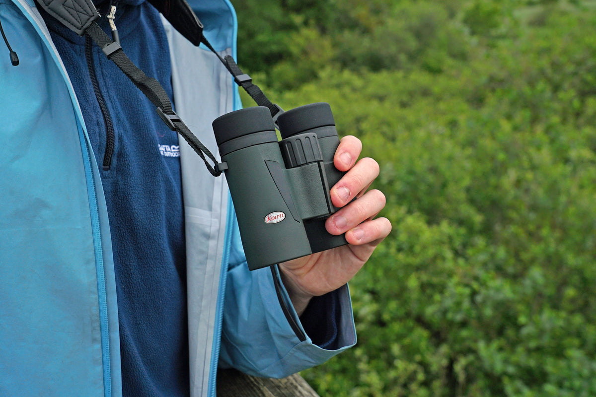 Kowa BDIII 8x32 XD in der Hand einer Person in blauer Jacke, draußen im Grünen