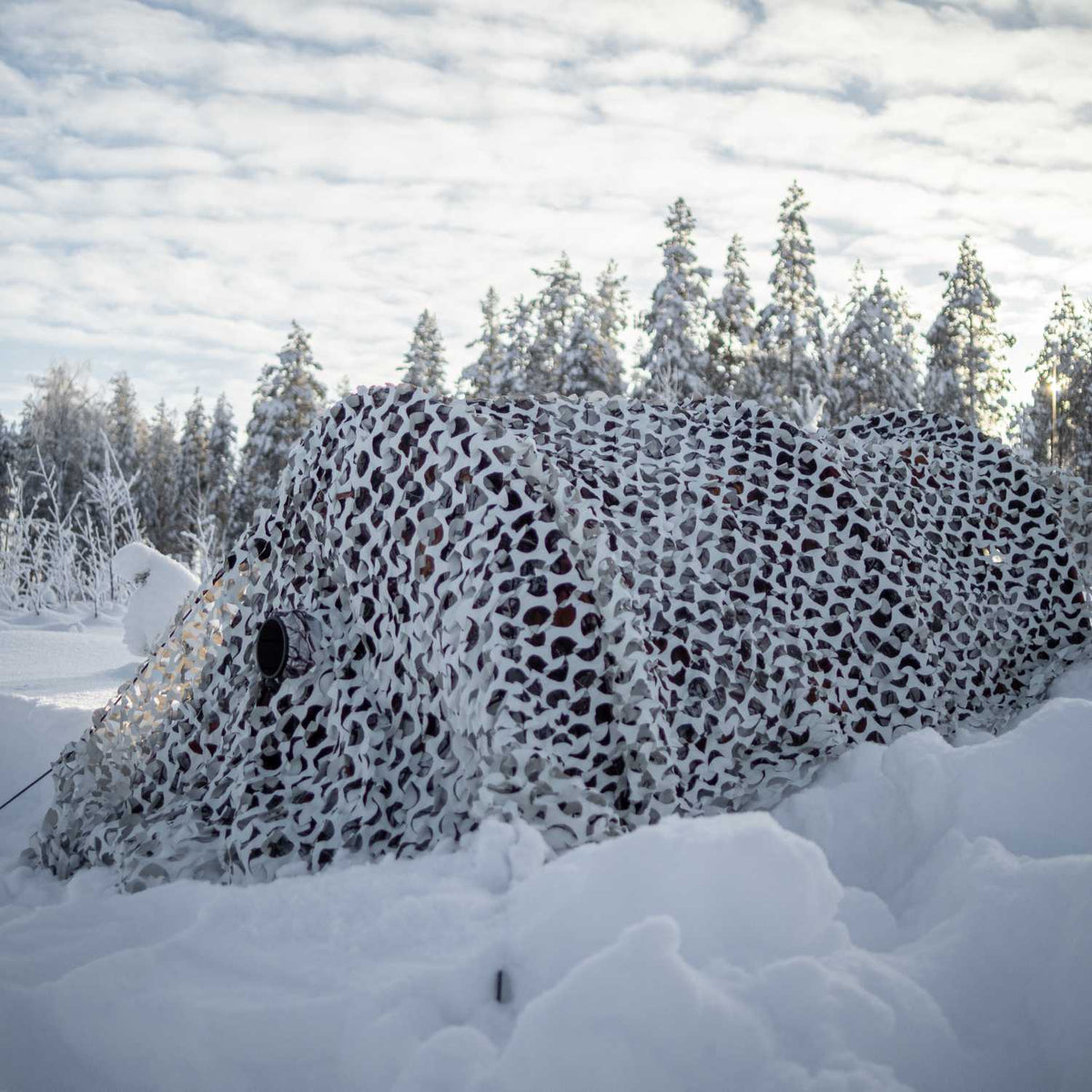 Buteo Tarnnetz 3 über einem Tarnversteck im Schnee, mit verschneiten Fichten dahinter