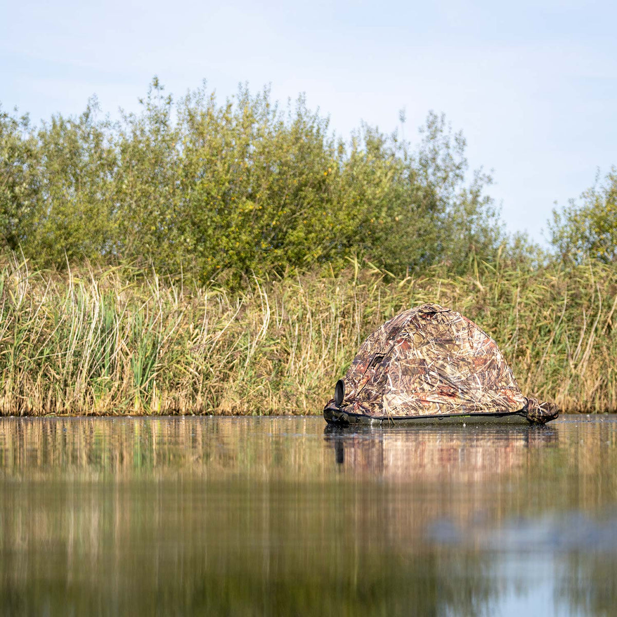 Buteo Schwimmtarnzelt Grebe auf einem Fluss vor einem Ufer mit Schilf und Bäumen