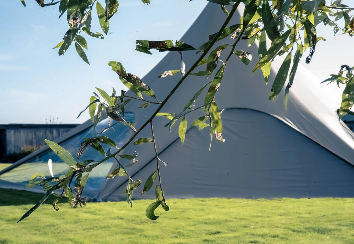 StarShade Pro geschlossene Seitenwand in Grau unter einem StarShade Zelt, hinter Blättern gesehen