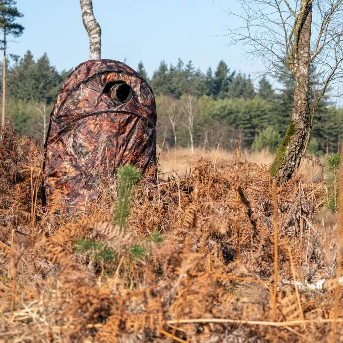 Stealth Gear Einmann-Stuhl Hide M2 zwischen Farnen am Waldrand aufgebaut