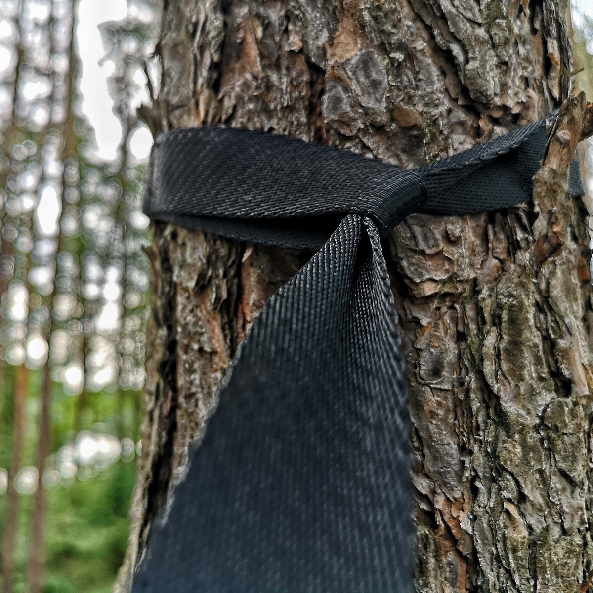 Triplander Quick Drag schwarzer Gurt um einen Baumstamm im Wald gelegt